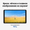 Вид 12